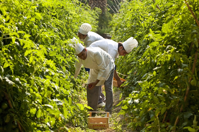 Imagen de los exteriores del Hotel San Giorgio Terme. Foto 11