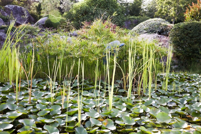 Imagen de los exteriores del Hotel San Giovanni, Porto Vecchio. Foto 14