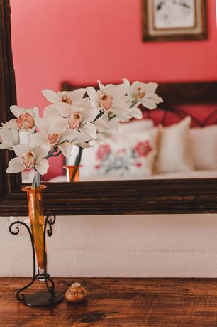 Imagen de la habitación del Hotel San Jorge, Tlatlauquitepec. Foto 14