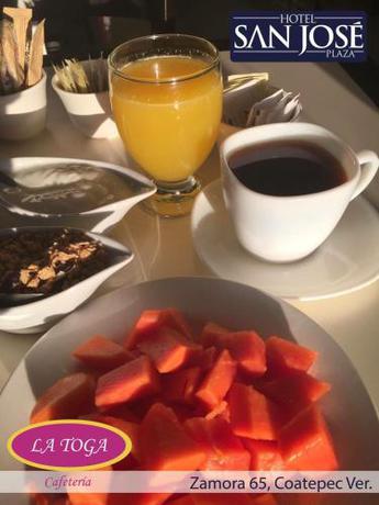 Imagen general del Hotel San Jose Plaza Coatepec. Foto 3