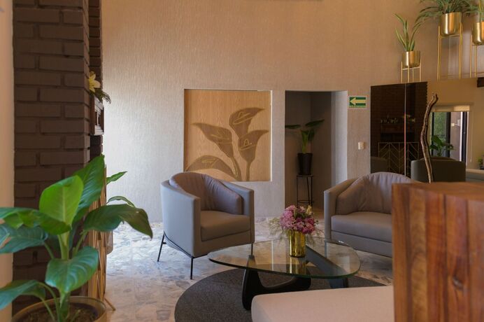 Imagen general del Hotel San Jos&eacute; Suites Boutique. Foto 3
