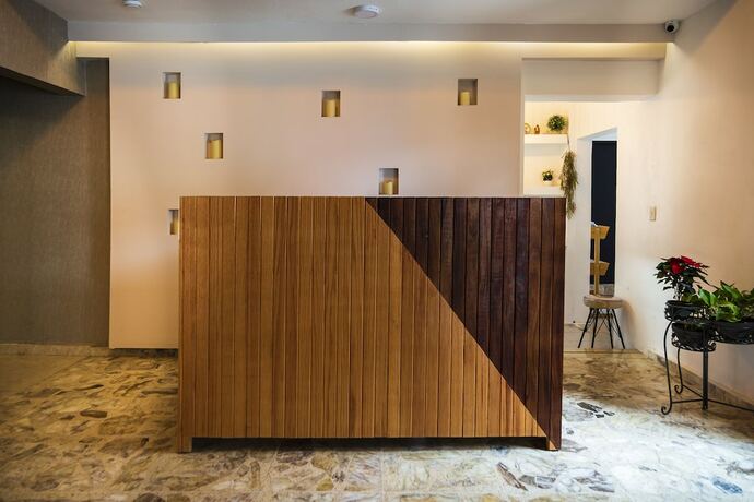 Imagen general del Hotel San Jos&eacute; Suites Boutique. Foto 5
