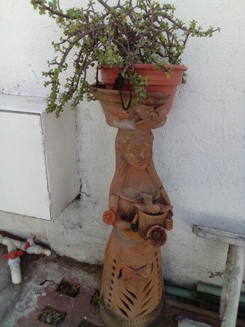 Imagen general del Hotel San Jos&eacute; Tequesquitengo. Foto 7