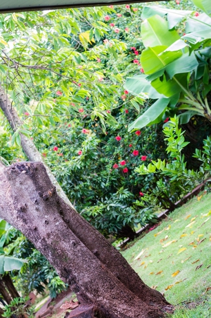 Imagen de los exteriores del Hotel San Juan Tour. Foto 5