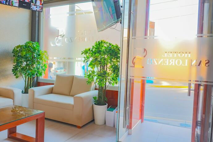 Imagen general del Hotel San Lorenzo, Las Lechuzas. Foto 8