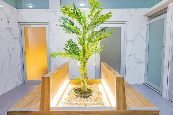 Imagen general del Hotel San Lorenzo, Las Lechuzas. Foto 15