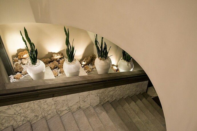 Imagen de los interiores del Hotel San Lorenzo & Spa. Foto 38