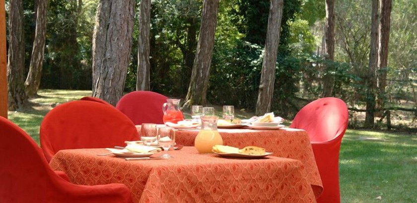 Imagen del bar/restaurante del Hotel San Marco, Lignano Sabbiadoro. Foto 7
