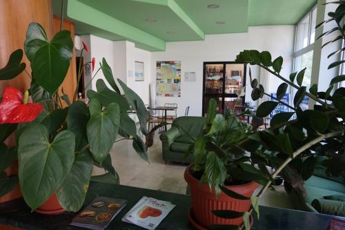 Imagen general del Hotel San Marco, Pesaro. Foto 12