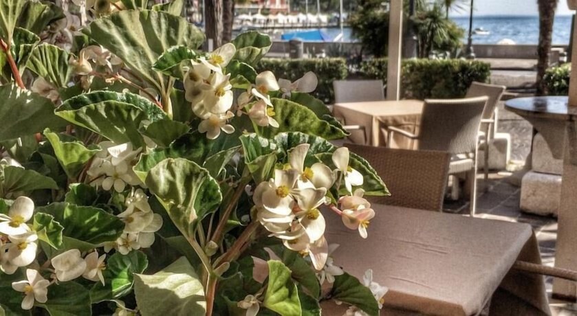 Imagen de los exteriores del Hotel San Marco, Toscolano-Maderno. Foto 16