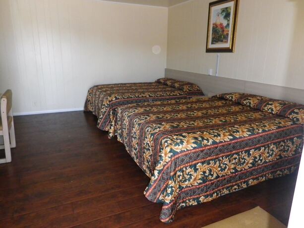 Imagen de la habitación del Hotel San Marcos Motel. Foto 7