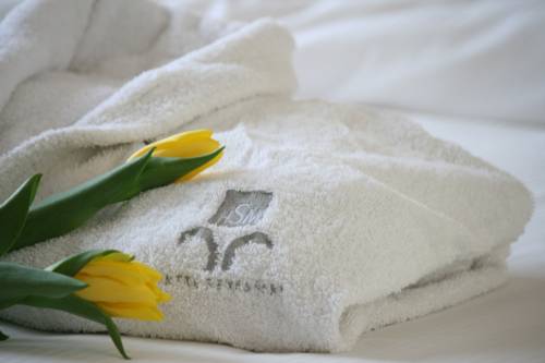 Imagen de la habitación del Hotel San Martino, Darfo Boario Terme. Foto 4