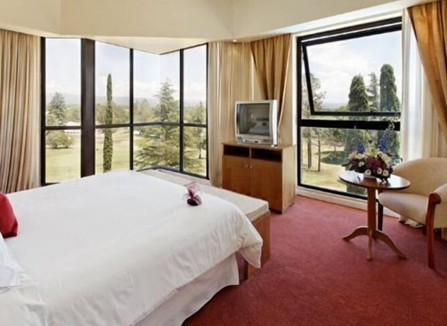 Imagen de la habitación del Hotel San Miguel Plaza. Foto 9