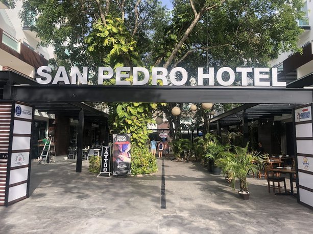 Imagen general del Hotel San Pedro 5ta Avenida. Foto 1