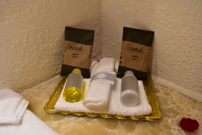 Imagen de la habitación del Hotel San Pedro Puebla. Foto 12