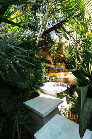 Imagen general del Hotel San Tr&oacute;pico Boutique and Peaceful Escape. Foto 5