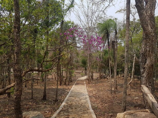 Imagen general del Hotel San Xavier Quinta Eco Resort. Foto 13