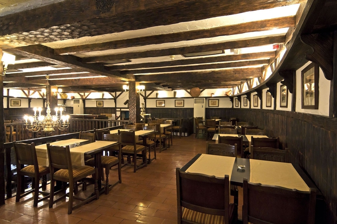 Imagen del bar/restaurante del Hotel Sana Rex. Foto 6