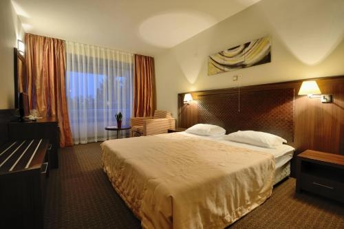Imagen de la habitación del Hotel Sana Spa. Foto 6