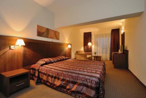 Imagen de la habitación del Hotel Sana Spa. Foto 8