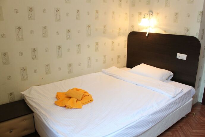 Imagen general del Hotel Sanatoriy Erino. Foto 10