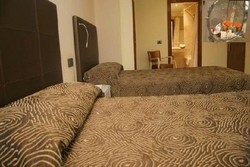 Imagen de la habitación del Hotel Sancho, Atocha. Foto 2