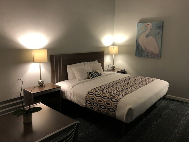 Imagen general del Hotel Sand Dollar Inn. Foto 2