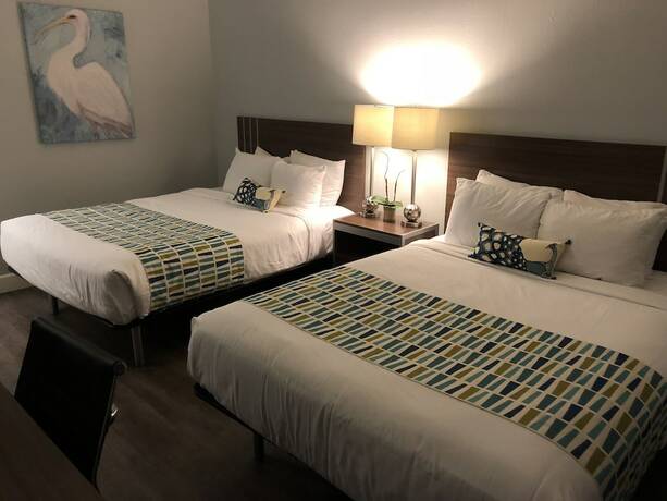 Imagen general del Hotel Sand Dollar Inn. Foto 10