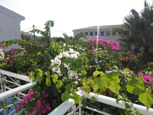 Imagen general del Hotel Sandalis. Foto 1