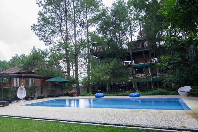 Imagen general del Hotel Sandalwood Boutique Hotel. Foto 6