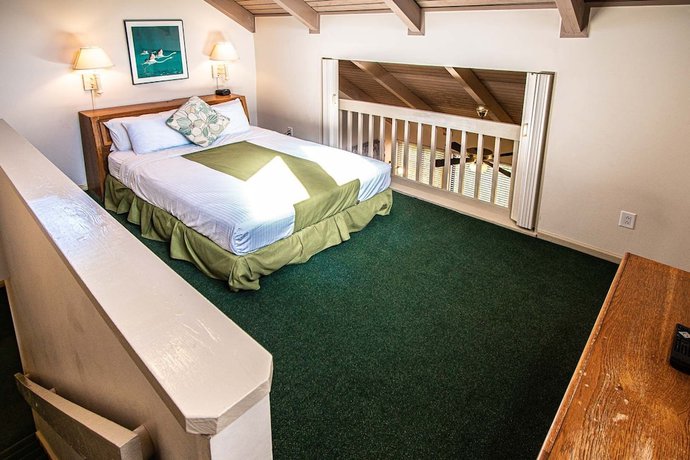 Imagen de la habitación del Hotel Sandcastle Cove Resort by VRI Resorts. Foto 8