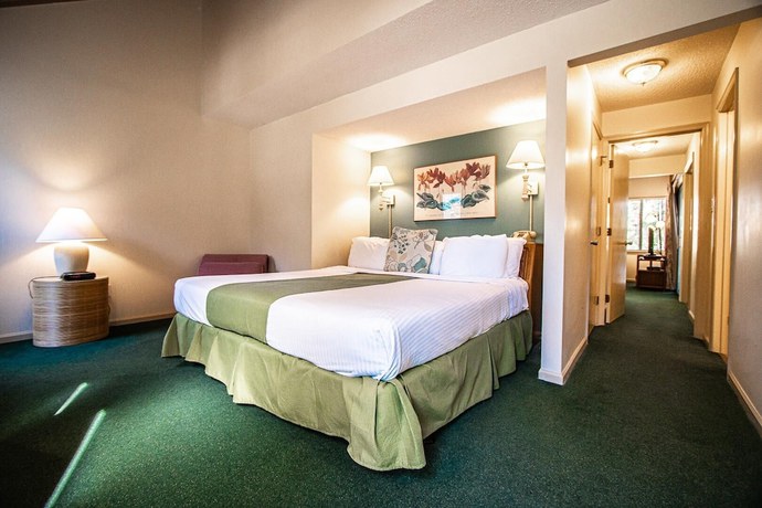 Imagen de la habitación del Hotel Sandcastle Cove Resort by VRI Resorts. Foto 13
