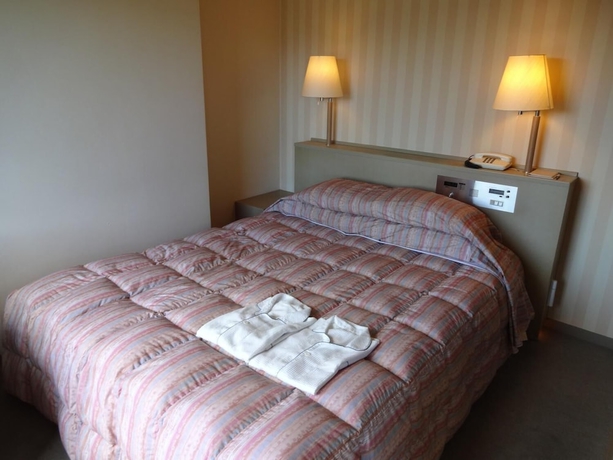 Imagen de la habitación del Hotel Sanderson, Maebashi. Foto 6
