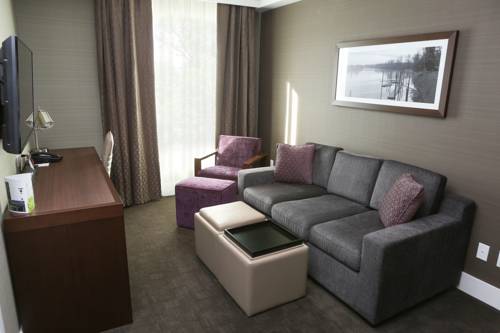 Imagen de la habitación del Hotel Sandman Abbotsford Airport. Foto 4