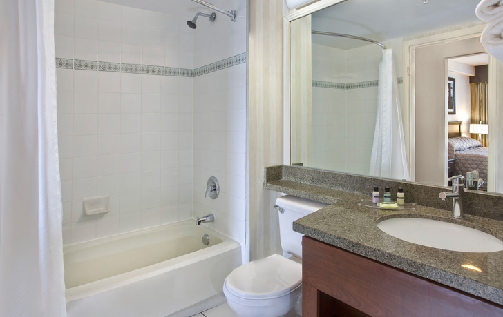 Imagen de la habitación del Hotel Sandman Langley. Foto 6