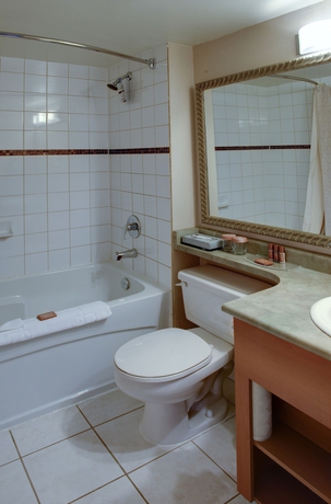Imagen de la habitación del Hotel Sandman and Suites Regina. Foto 7