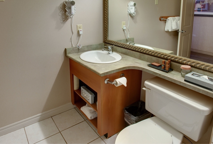 Imagen de la habitación del Hotel Sandman and Suites Regina. Foto 8