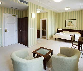 Imagen de la habitación del Hotel Sandor Pavillon. Foto 4
