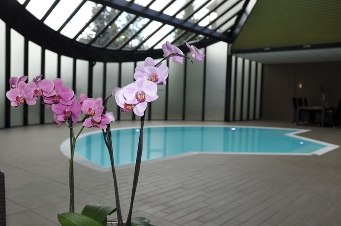 Imagen de la piscina del Hotel Sandton De Roskam. Foto 16