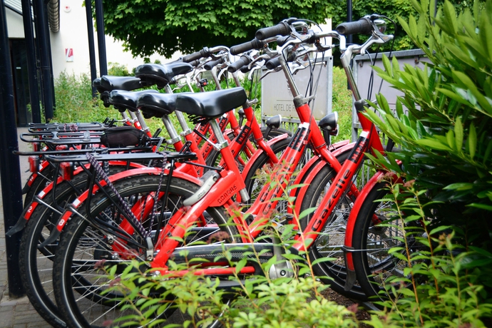 Imagen general del Hotel Sandton De Roskam. Foto 5