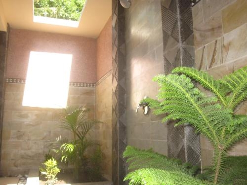 Imagen de la habitación del Hotel Sandy Beach Bungalows. Foto 8