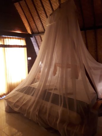 Imagen de la habitación del Hotel Sandy Beach Bungalows. Foto 5