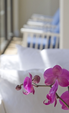 Imagen de los interiores del Hotel Sandy Beach and Spa - Ex Sentido. Foto 12