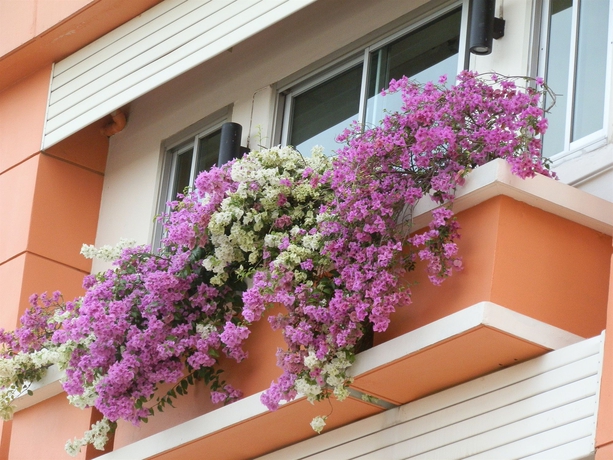 Imagen general del Hotel Sandy Serviced Apartment. Foto 1