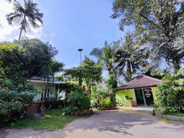 Imagen general del Hotel Saneha Resort. Foto 15