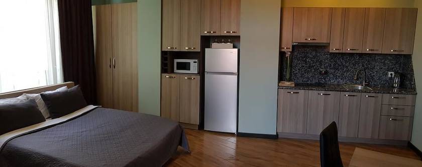 Imagen de la habitación del Hotel Sani Apart. Foto 10