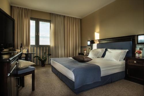 Imagen de la habitación del Hotel Sani. Foto 8