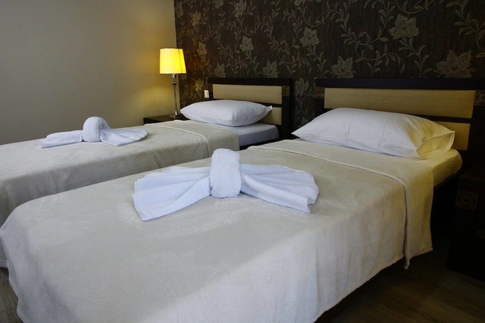 Imagen de la habitación del Hotel Sani, Tbilisi. Foto 12