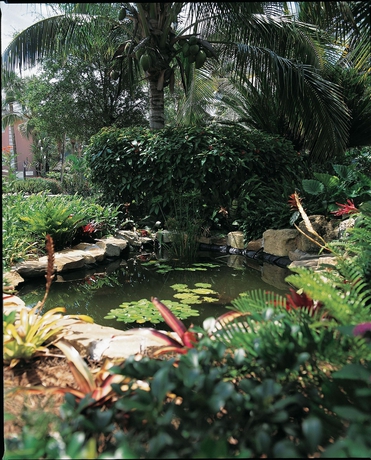 Imagen de los exteriores del Hotel Sanibel Inn. Foto 11
