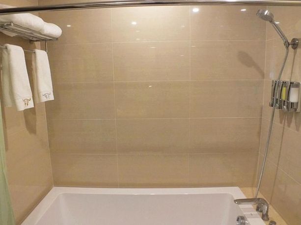 Imagen de la habitación del Hotel Sanroyal International. Foto 8